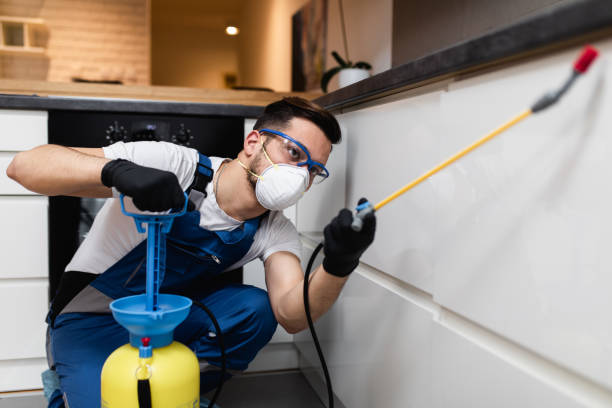 Best Pest Control Near Me  in Fort Thompson, SD