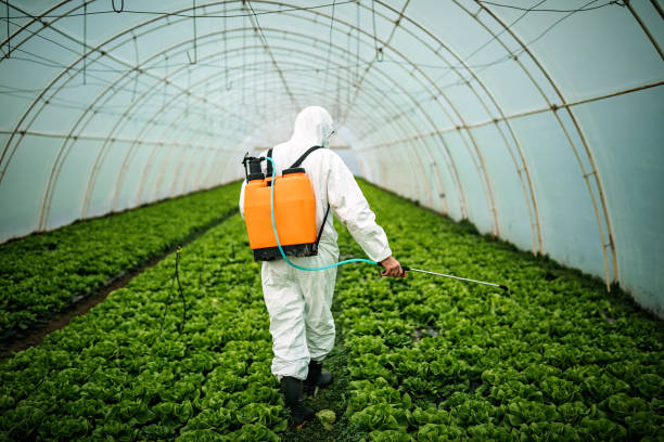 Best Commercial Pest Control Services  in Fort Thompson, SD