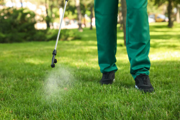 Best Best Pest Control Companies  in Fort Thompson, SD
