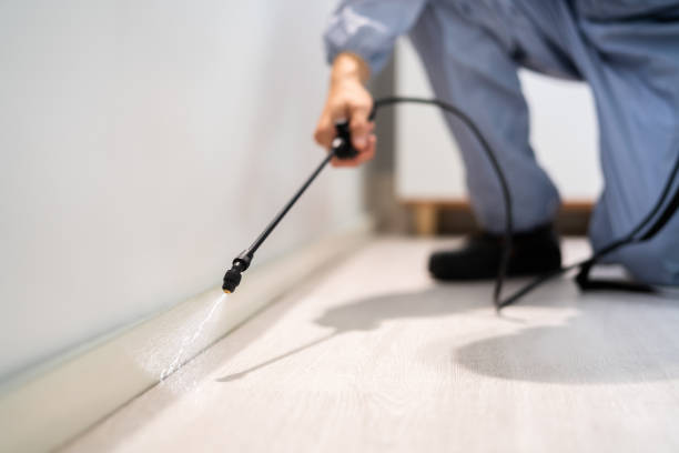 Best Affordable Pest Control Services  in Fort Thompson, SD