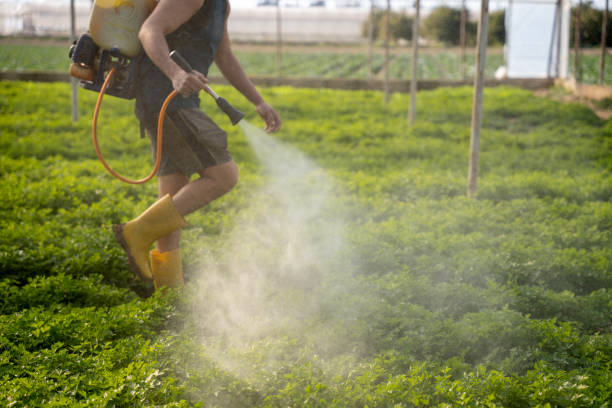Best Pest Removal Services  in Fort Thompson, SD