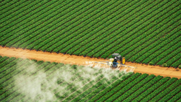 Best Exterminator Services  in Fort Thompson, SD