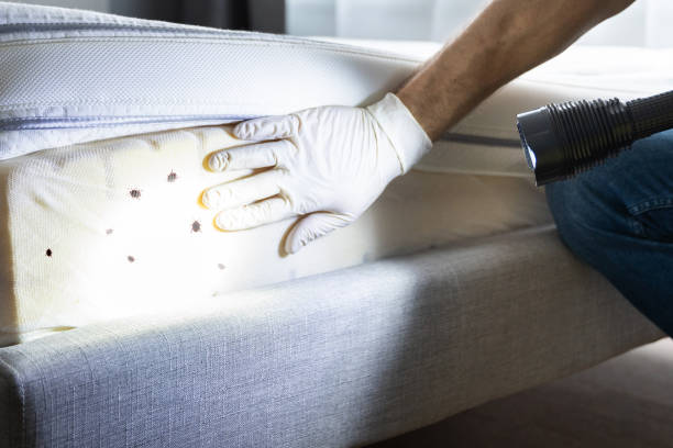 Best Pest Control Near Me  in Fort Thompson, SD