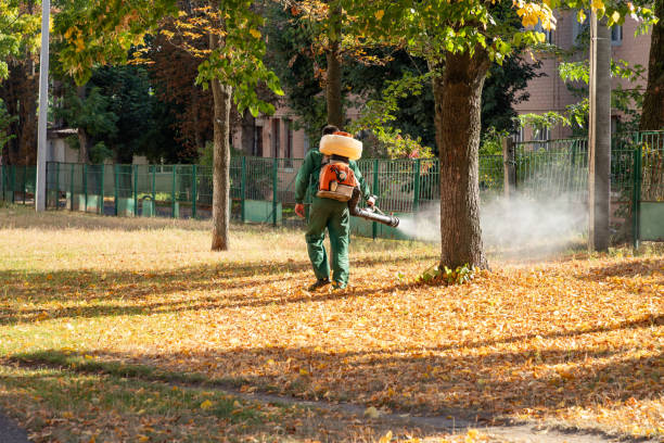 Best Emergency Pest Control  in Fort Thompson, SD
