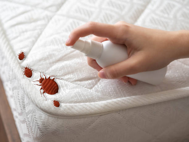 Best Pest Prevention Services  in Fort Thompson, SD