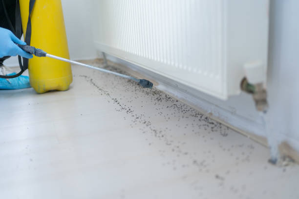 Best Mosquito Control Services  in Fort Thompson, SD