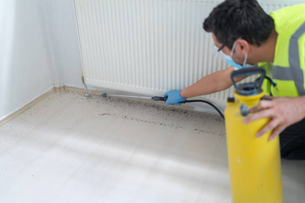 Best Affordable Pest Control Services  in Fort Thompson, SD